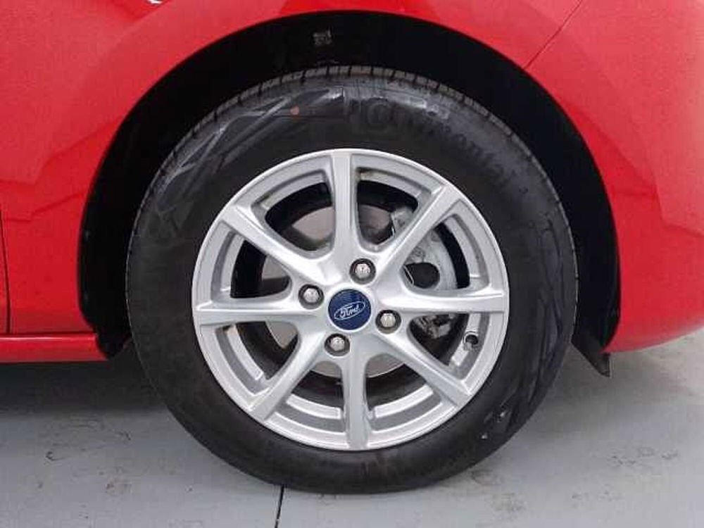 Ford Fiesta usata a Cuneo (9)