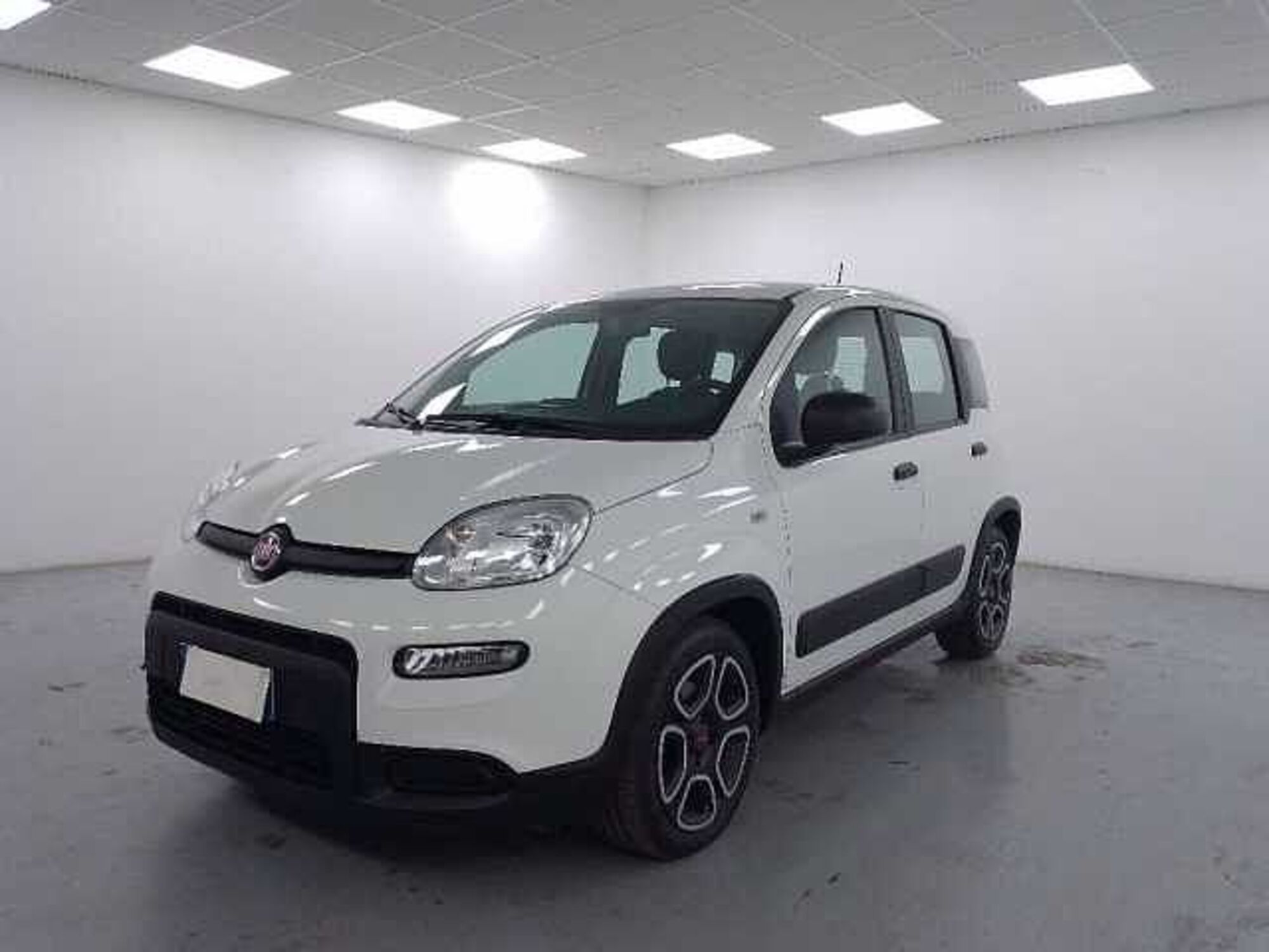 Fiat Panda 1.0 firefly hybrid s&amp;s 70cv 5p.ti del 2022 usata a Cuneo