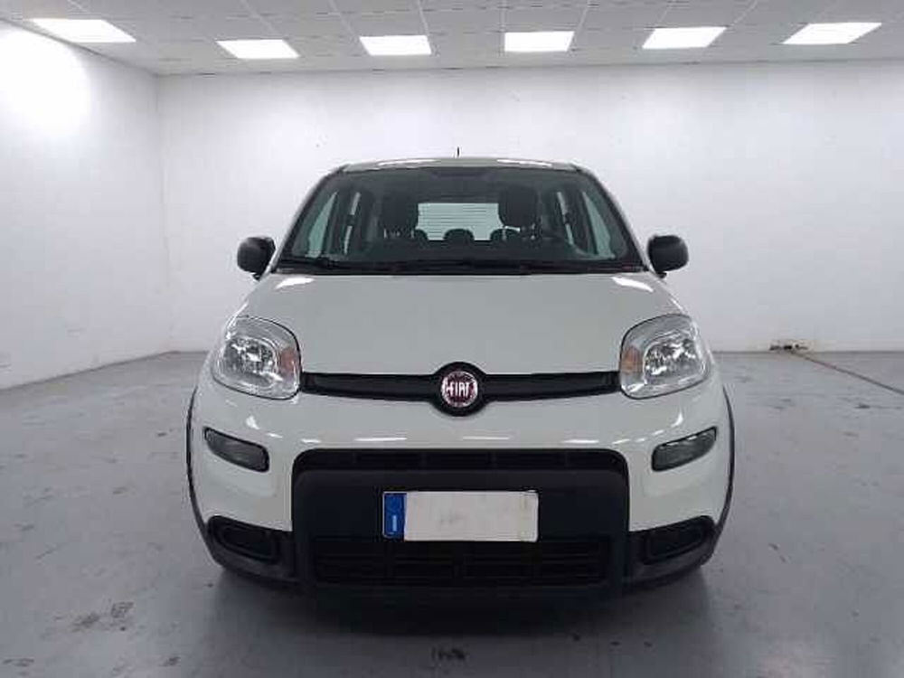 Fiat Panda usata a Cuneo (2)