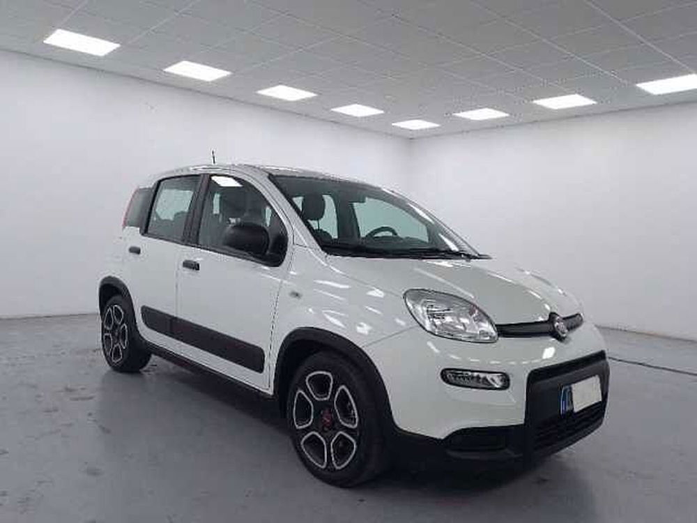 Fiat Panda usata a Cuneo (3)