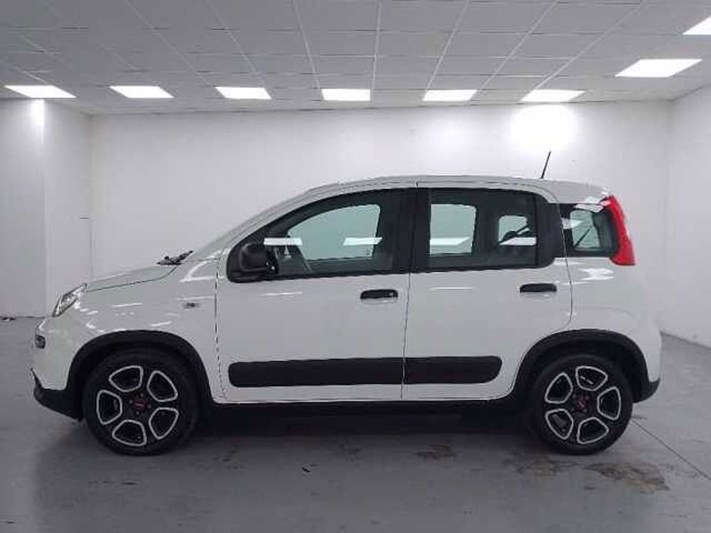 Fiat Panda usata a Cuneo (5)