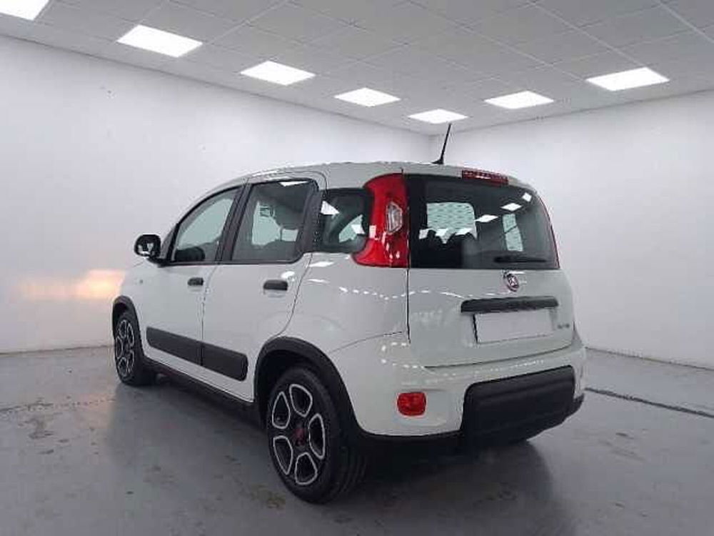 Fiat Panda usata a Cuneo (8)