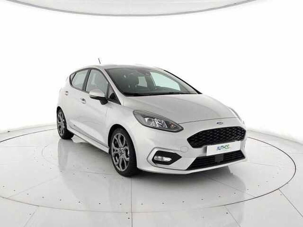 Ford Fiesta usata a Torino (2)