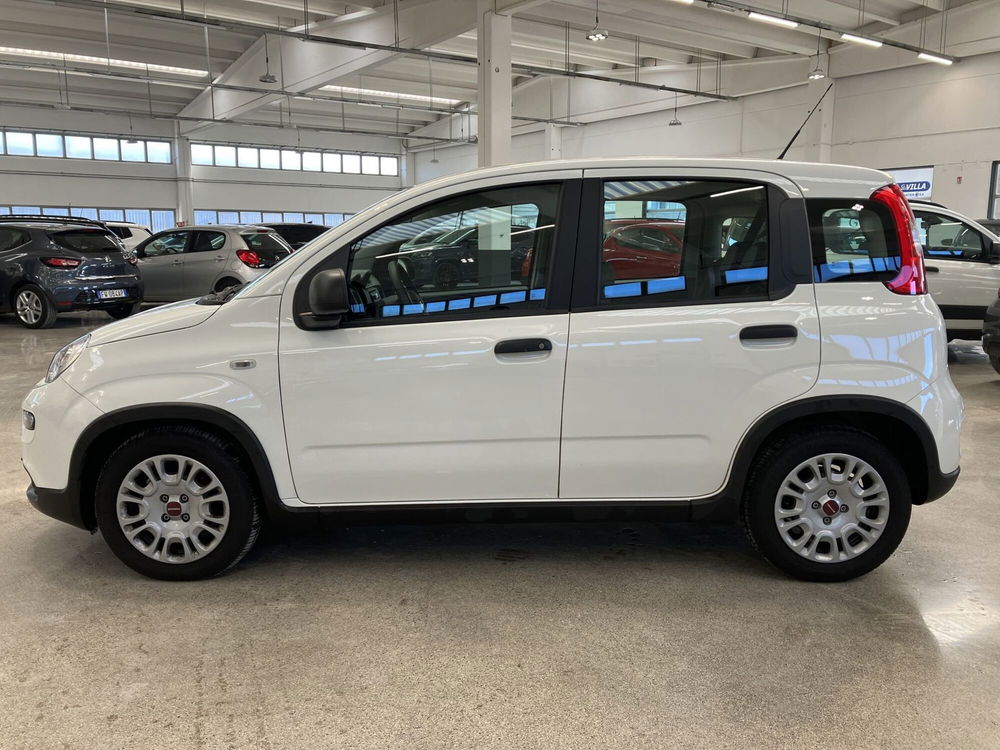 Fiat Panda 1.0 FireFly S&S Hybrid Easy del 2023 usata a Monza (2)