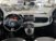 Fiat Panda 1.0 FireFly S&S Hybrid Easy del 2023 usata a Monza (8)