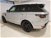Land Rover Range Rover Sport 3.0 SDV6 249 CV HSE Dynamic del 2020 usata a Livorno (8)