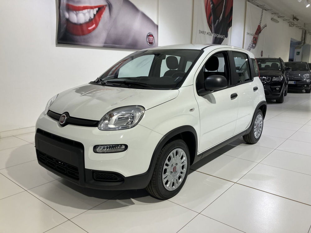 Fiat Panda nuova a Parma