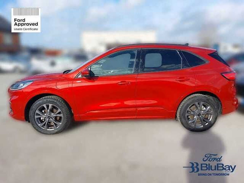 Ford Kuga usata a Livorno (11)