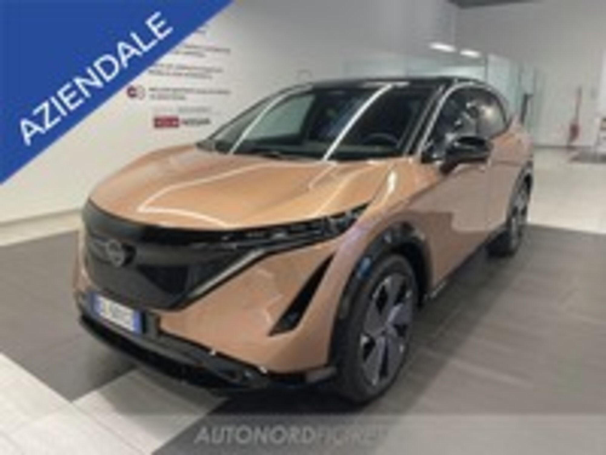 Nissan Ariya 63 kWh Advance 2wd del 2022 usata a Pordenone