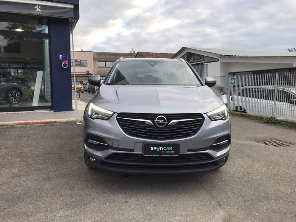 Opel Grandland X usata a Massa-Carrara (20)