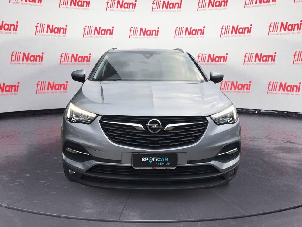 Opel Grandland X usata a Massa-Carrara (3)