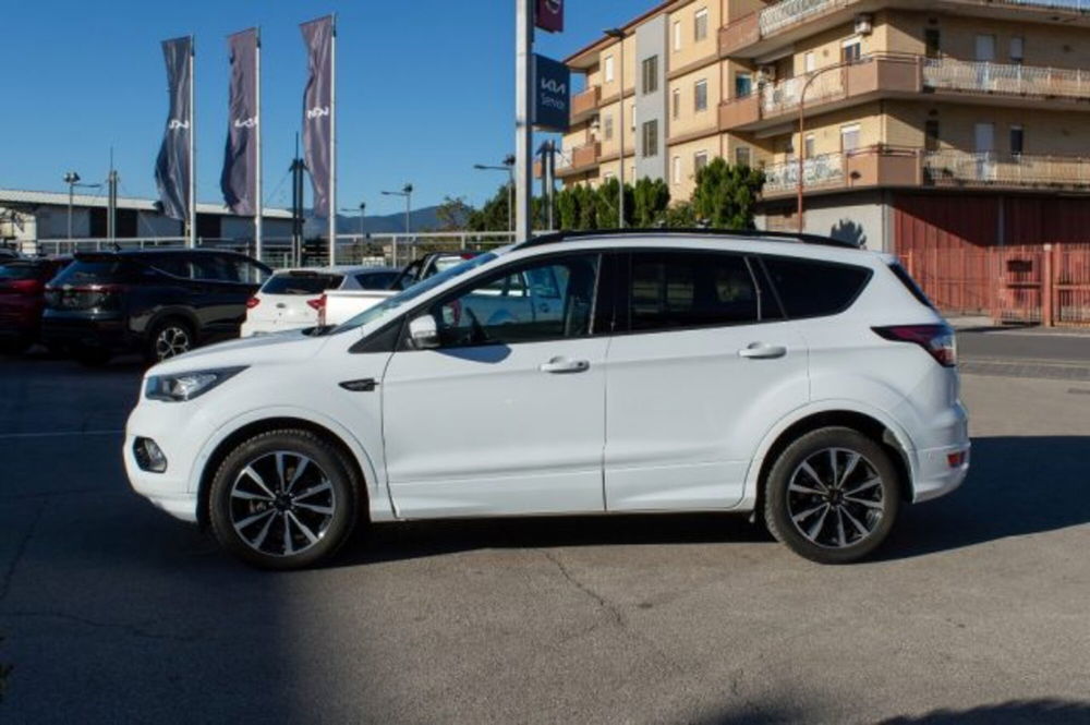 Ford Kuga 2.0 TDCI 120 CV S&S 2WD Powershift ST-Line  del 2019 usata a Fondi (4)