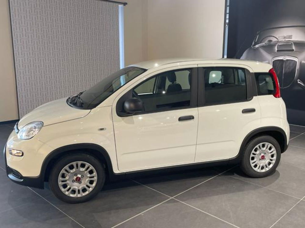 Fiat Panda nuova a Aosta (2)