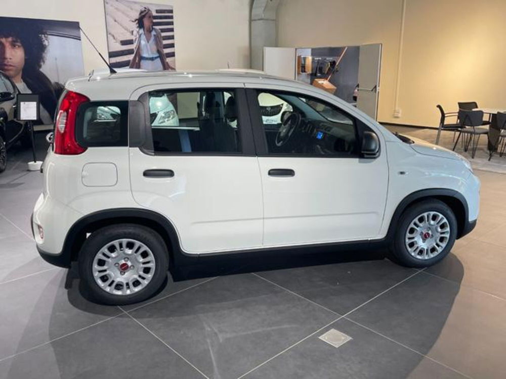 Fiat Panda nuova a Aosta (6)