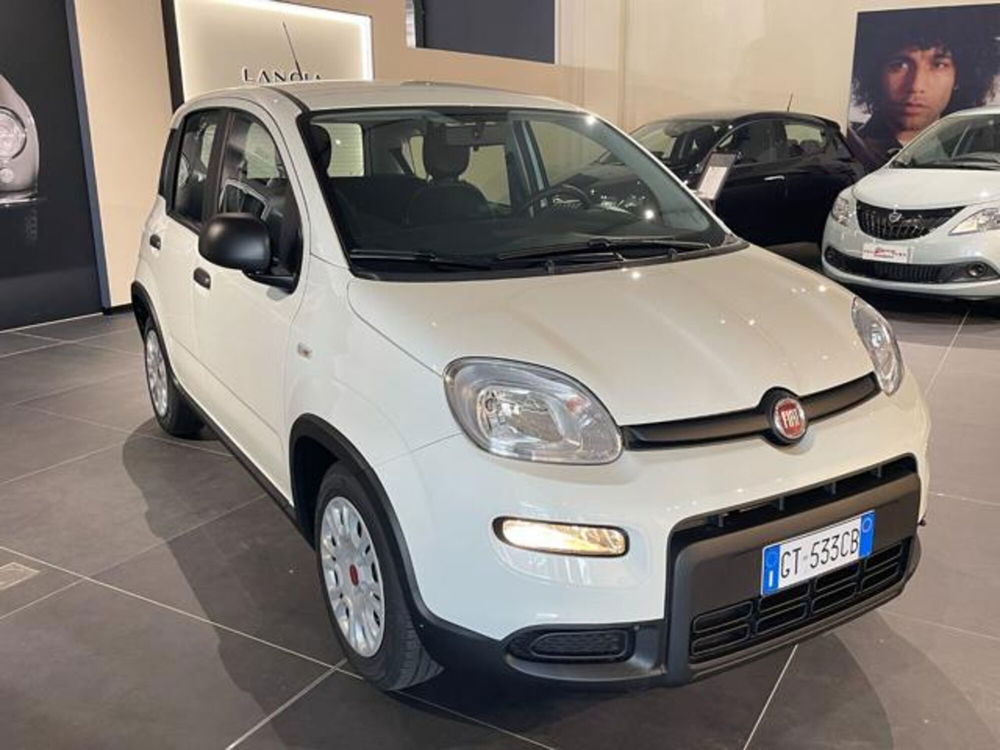 Fiat Panda nuova a Aosta (7)