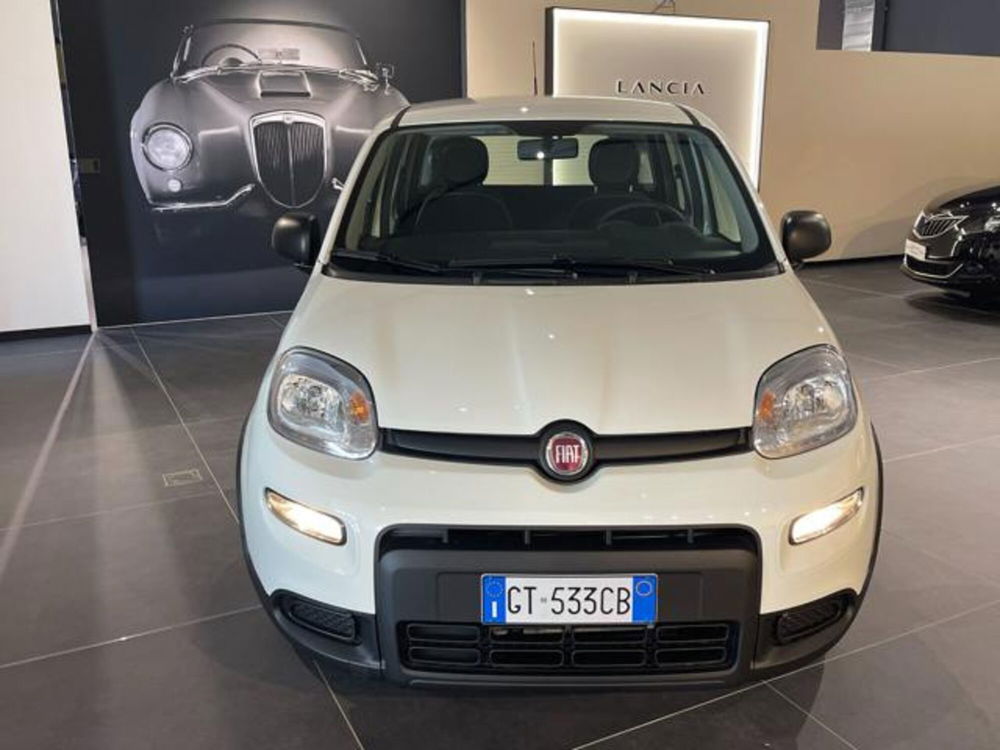 Fiat Panda nuova a Aosta (8)