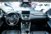Lexus NX Hybrid 4WD Executive  del 2018 usata a Torino (8)