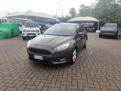 Ford Focus 1.0 EcoBoost 100 CV Start&amp;Stop Plus  del 2017 usata a Erba