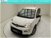 Fiat Panda 1.0 FireFly S&S Hybrid City Cross  nuova a Erba (15)