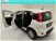 Fiat Panda 1.0 FireFly S&S Hybrid City Cross  nuova a Erba (6)