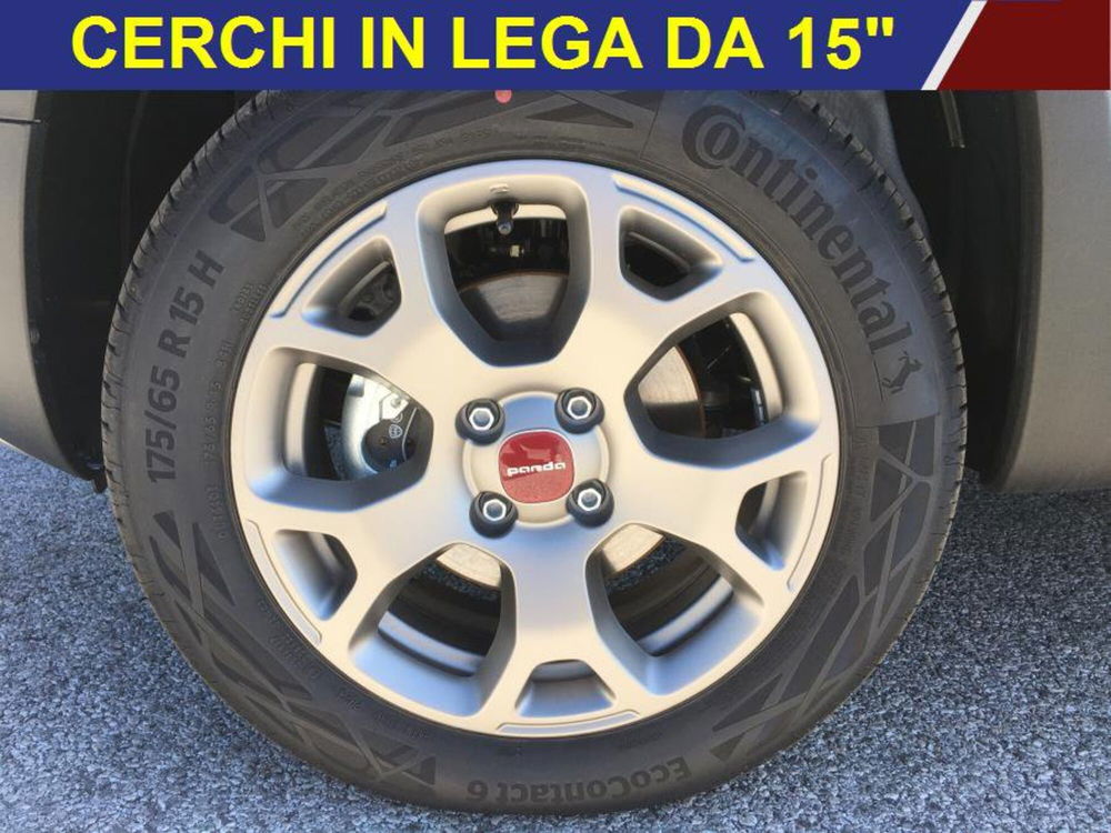 Fiat Panda Cross nuova a Cuneo (9)