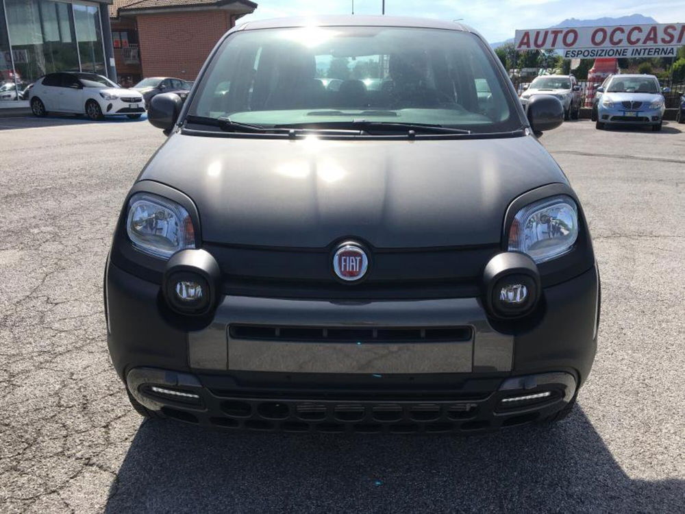 Fiat Panda Cross nuova a Cuneo (4)