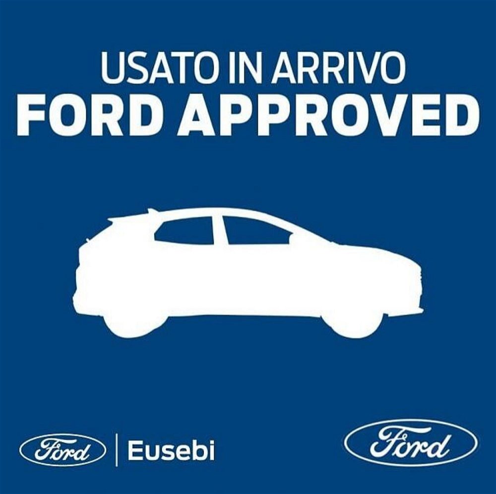 Ford Fiesta 1.1 75 CV GPL 5 porte del 2021 usata a Fano (2)