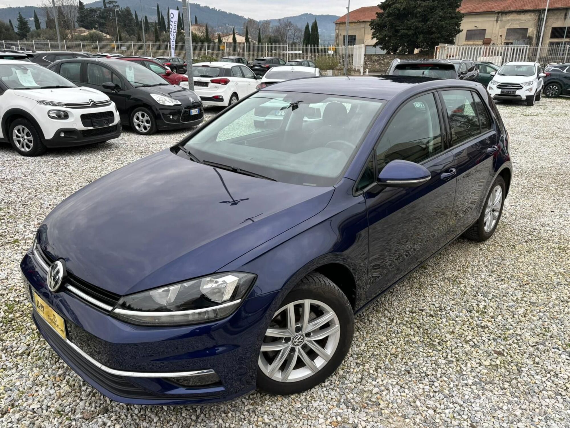 Volkswagen Golf 2.0 tdi Edition 115cv del 2020 usata a Firenze