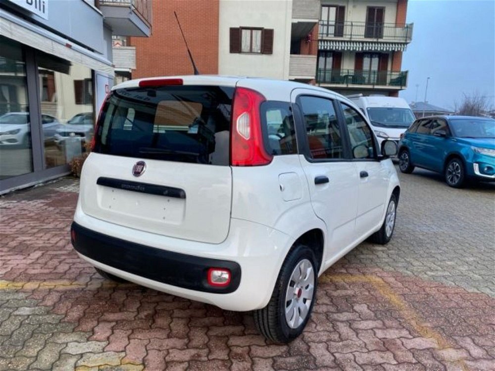 Fiat Panda 1.2 Pop  del 2019 usata a Boves (5)