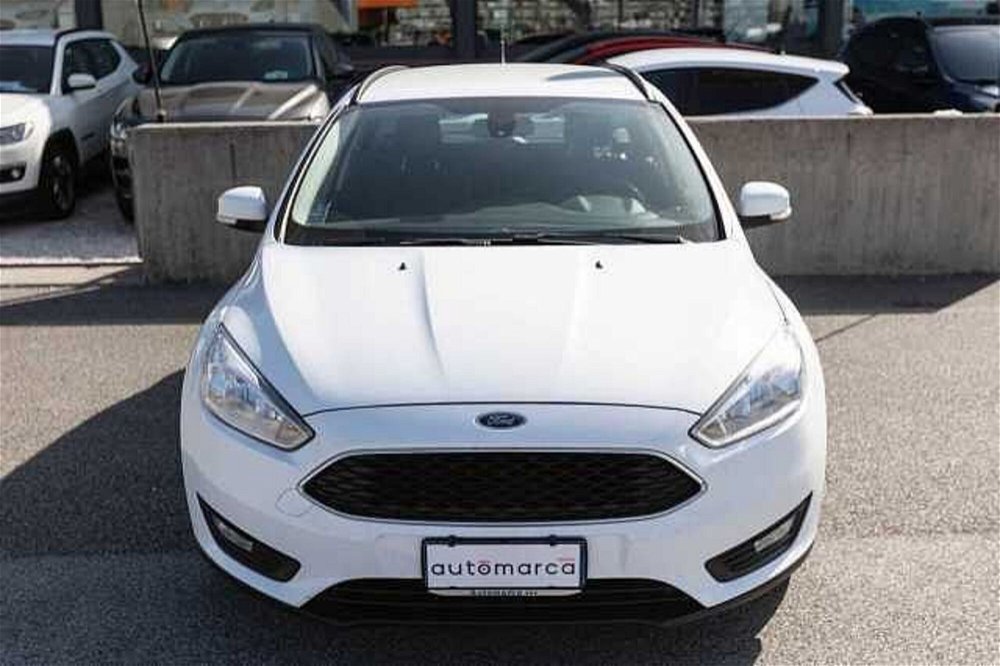 Ford Focus Station Wagon 1.5 TDCi 95 CV Start&Stop SW Business del 2016 usata a Silea (4)