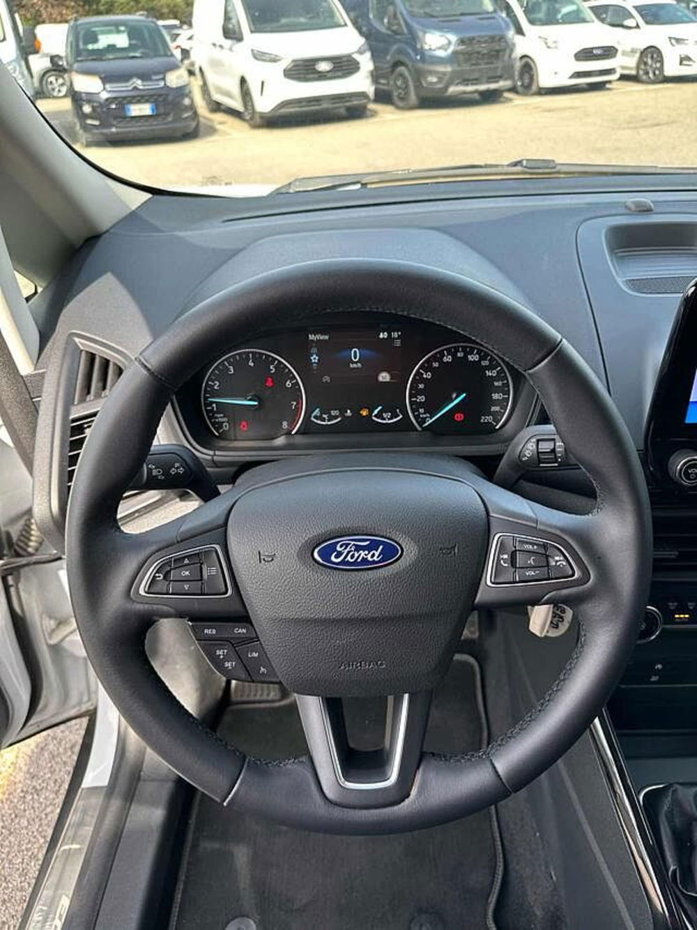 Ford EcoSport usata a Pesaro-Urbino (10)