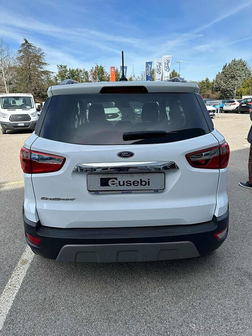 Ford EcoSport usata a Pesaro-Urbino (6)