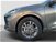 Ford Kuga Kuga 2.5 phev ST-Line 2wd 243cv auto del 2021 usata a Roma (10)