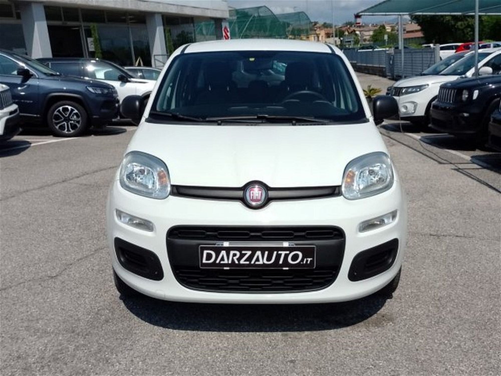 Fiat Panda 1.2 Easy  del 2019 usata a Desenzano del Garda (2)