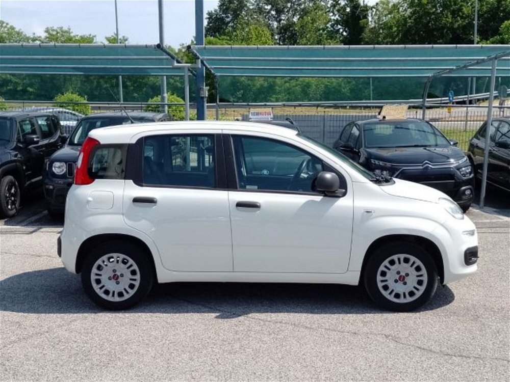 Fiat Panda 1.2 Easy  del 2019 usata a Desenzano del Garda (4)