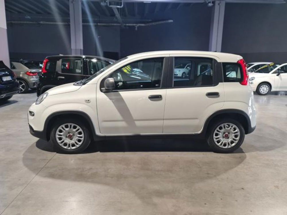 Fiat Panda 1.0 FireFly S&S Hybrid  nuova a Pianezza (3)