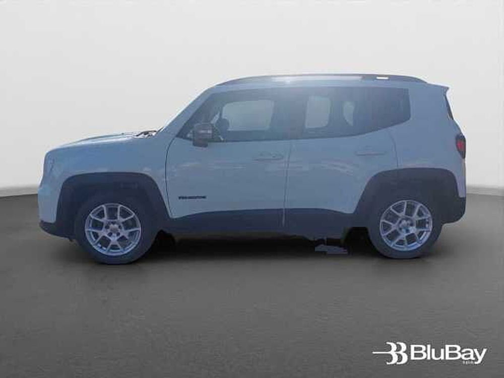 Jeep Renegade usata a Livorno (9)