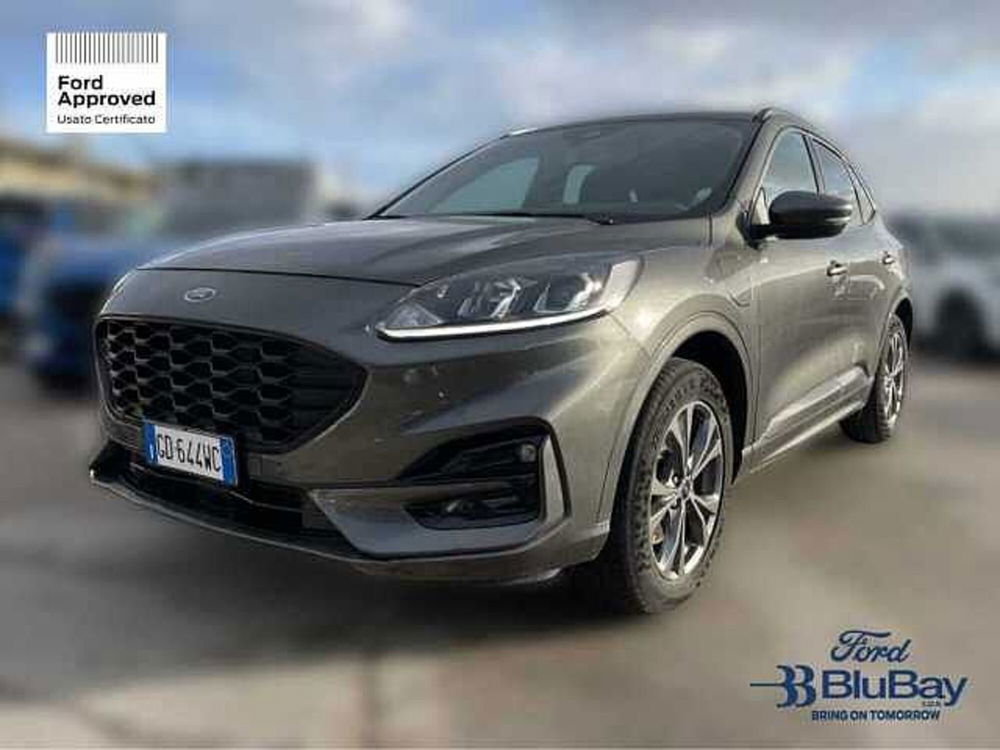 Ford Kuga usata a Livorno