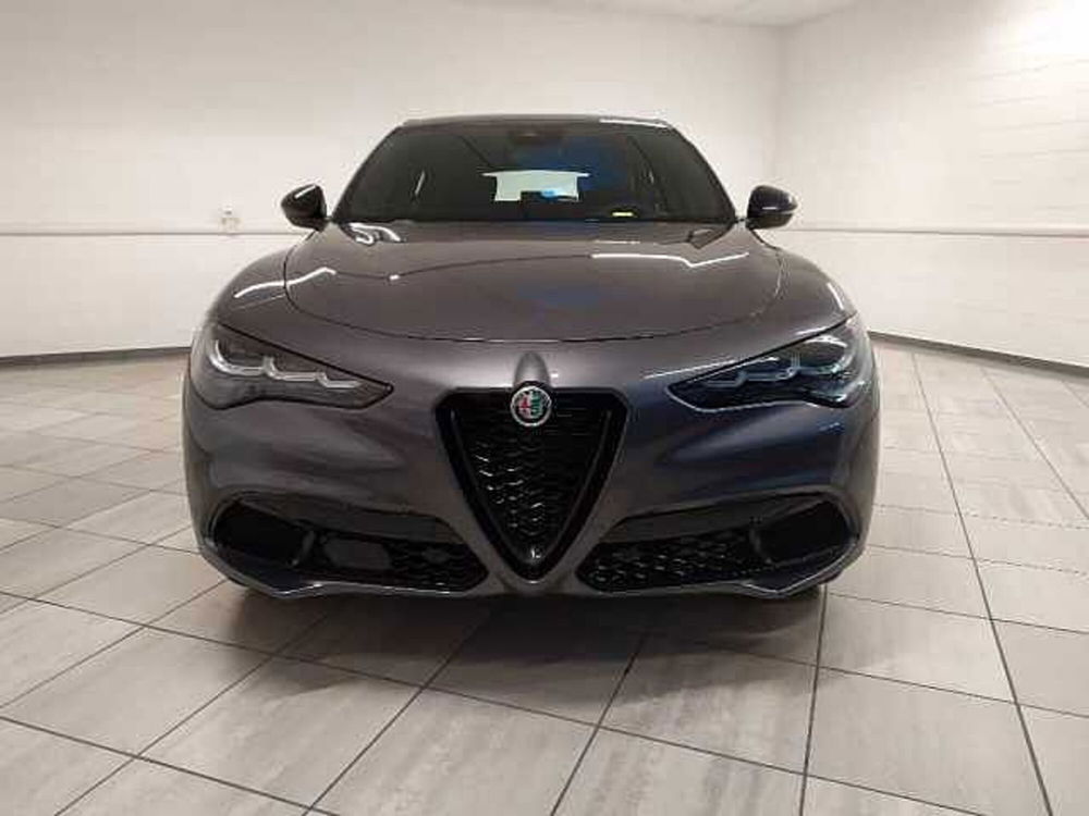 Alfa Romeo Stelvio nuova a Cuneo (2)