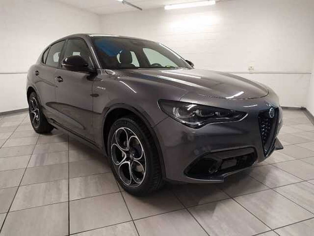 Alfa Romeo Stelvio nuova a Cuneo (3)