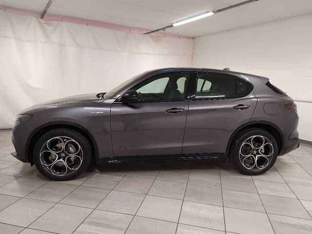 Alfa Romeo Stelvio nuova a Cuneo (4)