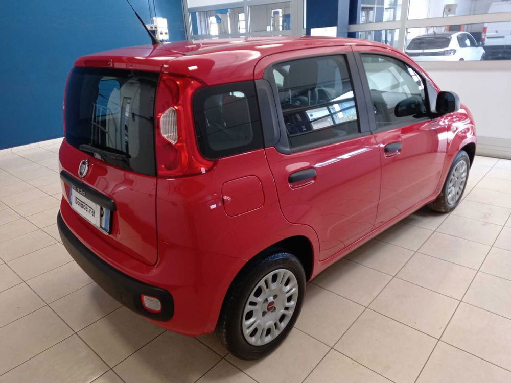 Fiat Panda usata a Varese (6)