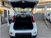 Fiat Panda 1.0 FireFly S&S Hybrid  nuova a Torino (18)
