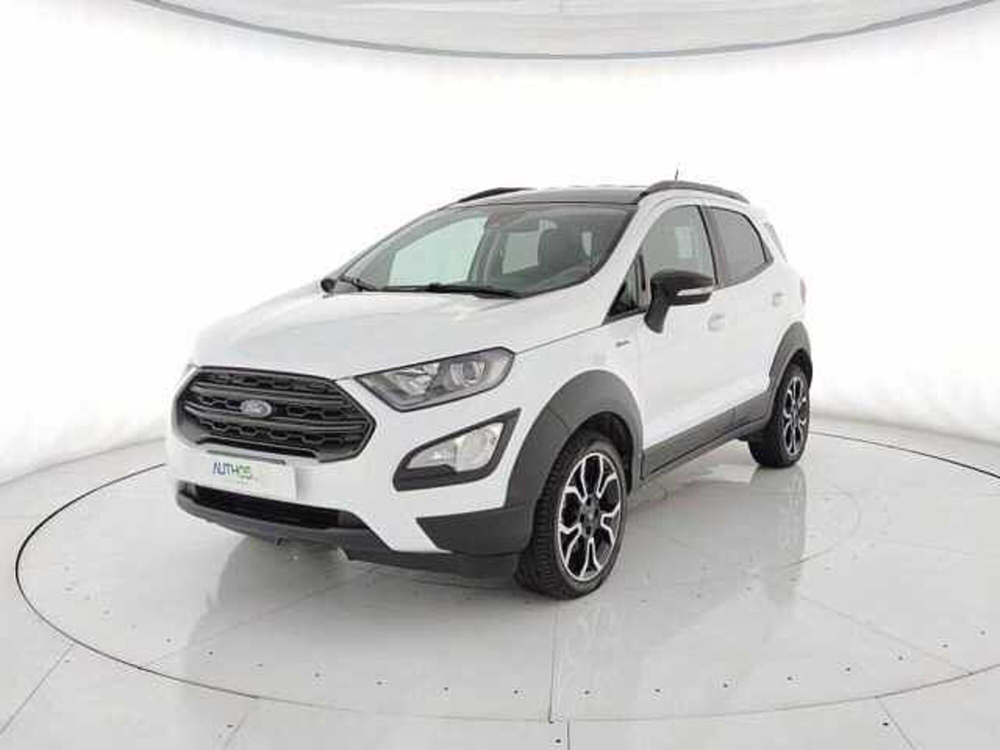 Ford EcoSport 1.0 EcoBoost 125 CV Start&amp;Stop Active del 2022 usata a Torino