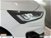 Ford Focus Station Wagon 1.0 EcoBoost 125 CV SW Business  nuova a Albano Laziale (13)