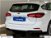 Ford Focus Station Wagon 1.0 EcoBoost 125 CV automatico SW Business nuova a Albano Laziale (17)