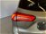 Ford Focus 1.5 EcoBlue 120 CV 5p. Vignale del 2019 usata a Monza (20)