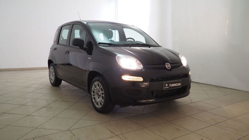 Fiat Panda Cross usata a Torino (15)