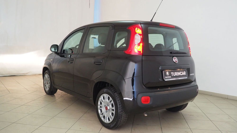 Fiat Panda Cross usata a Torino (18)