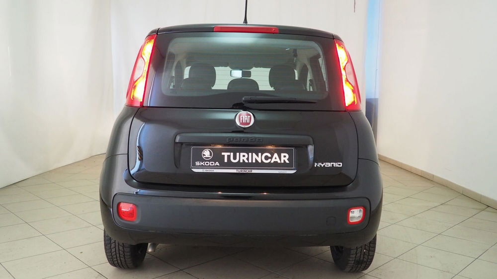 Fiat Panda Cross usata a Torino (19)